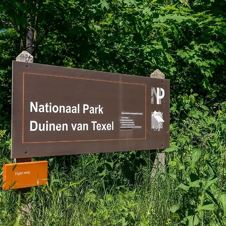 Villa Beautiful Luxurious Situated In *