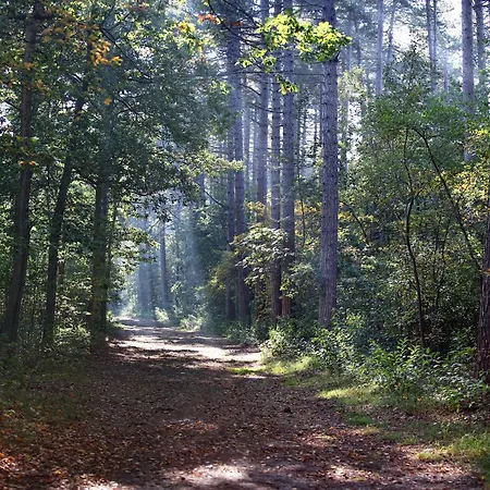 Beautiful Luxurious Situated In Vila Den Burg